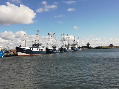 Büsumer Hafen Impressionen