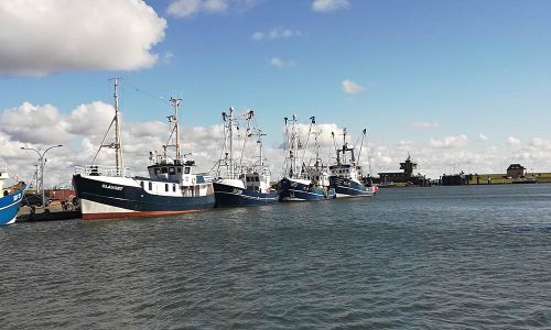 Büsumer Hafen Impressionen